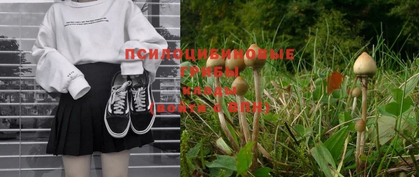 mix Нея