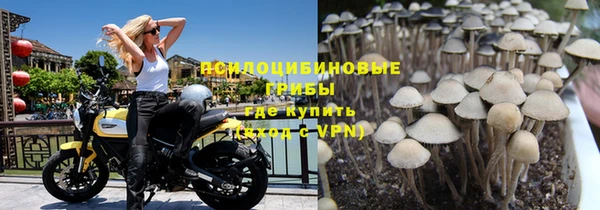 соль ск Нефтекумск