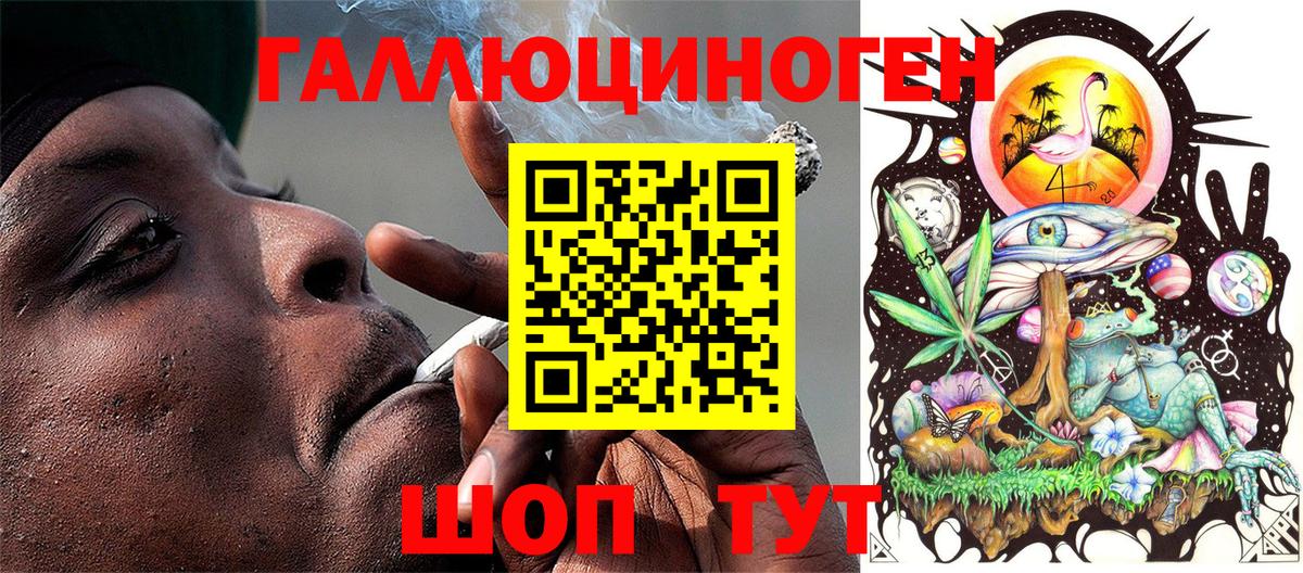 Псилоцибиновые грибы MAGIC MUSHROOMS  Псилоцибиновые грибы Psilocybe  Братск 