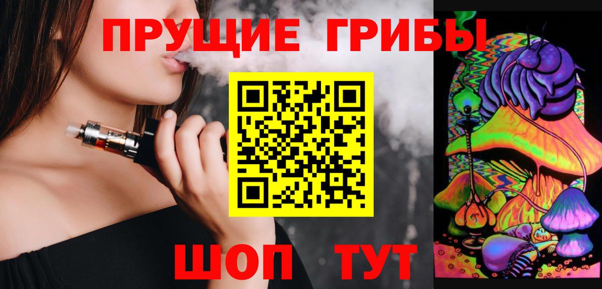 Галлюциногенные грибы Psilocybe Братск